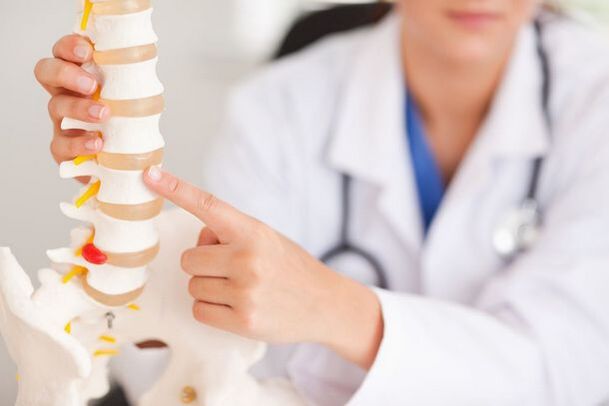 doktor omurganın bir modelini gösteriyor